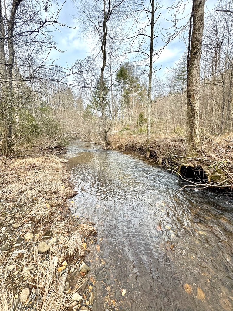 14092 Big Creek Road