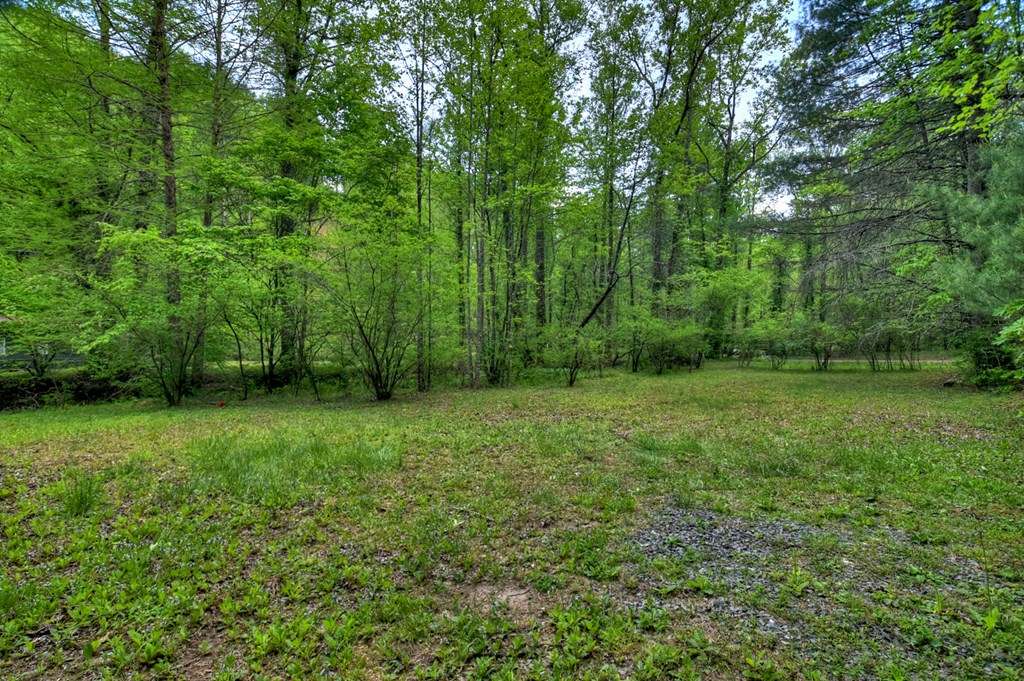 14092 Big Creek Road