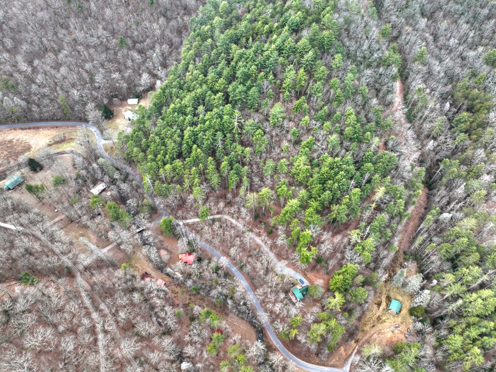 14092 Big Creek Road