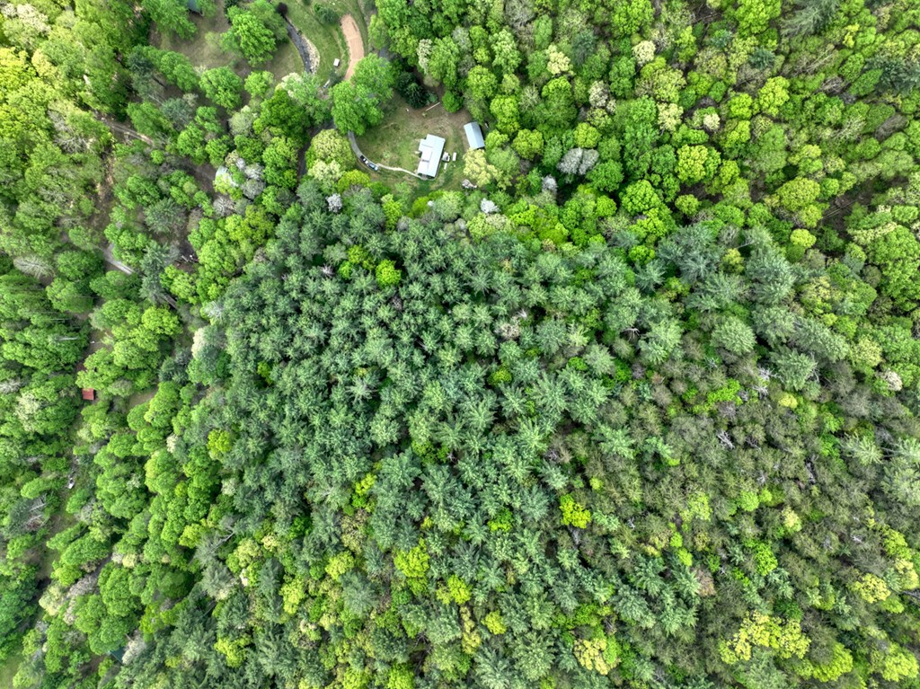 14092 Big Creek Road