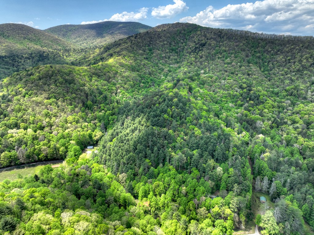 14092 Big Creek Road