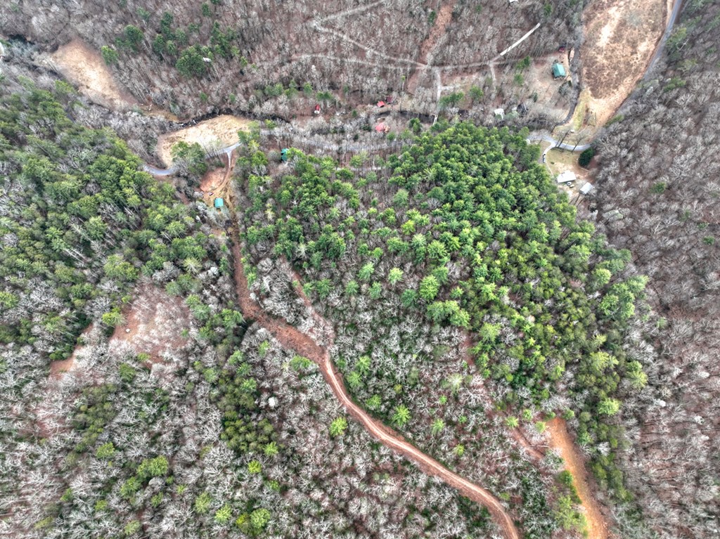 14092 Big Creek Road