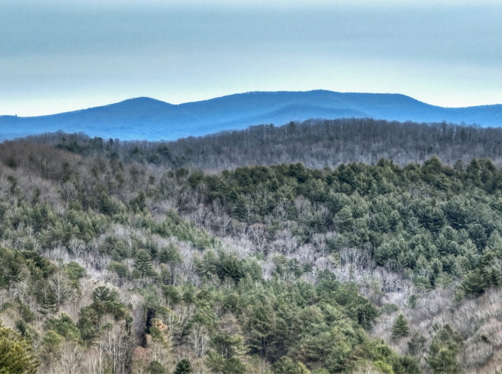 14092 Big Creek Road