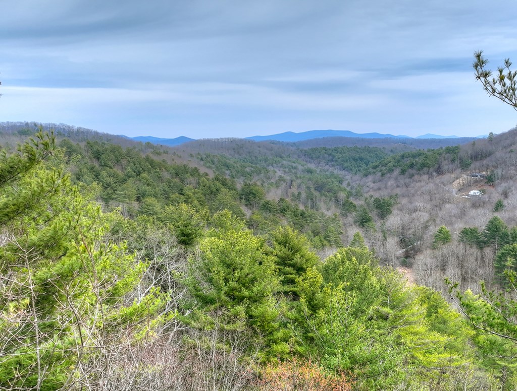 14092 Big Creek Road