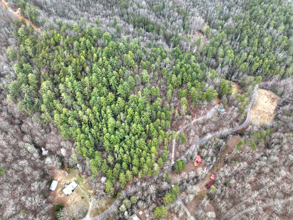 14092 Big Creek Road