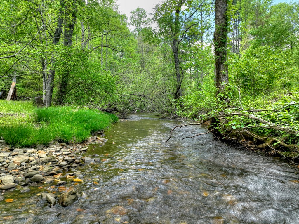 14092 Big Creek Road