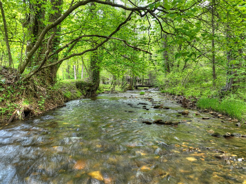 14092 Big Creek Road