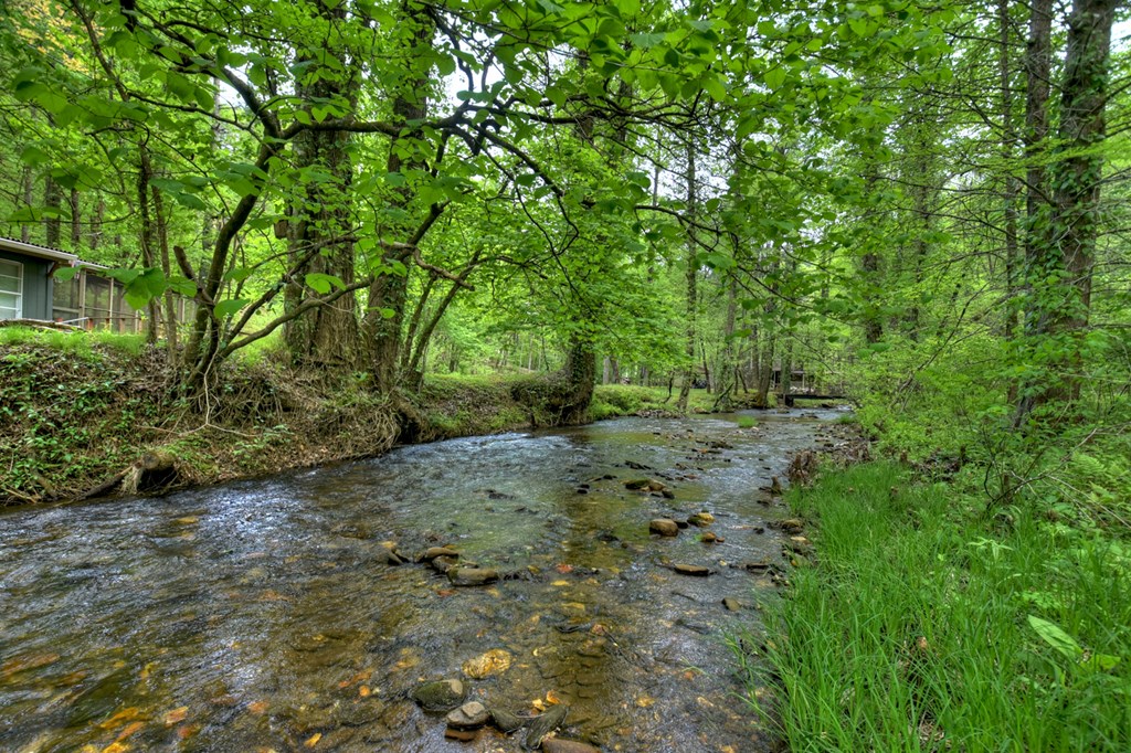 14092 Big Creek Road