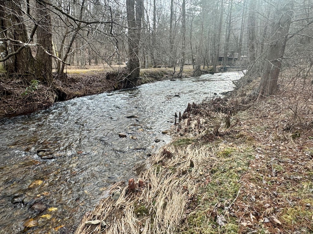 14092 Big Creek Road