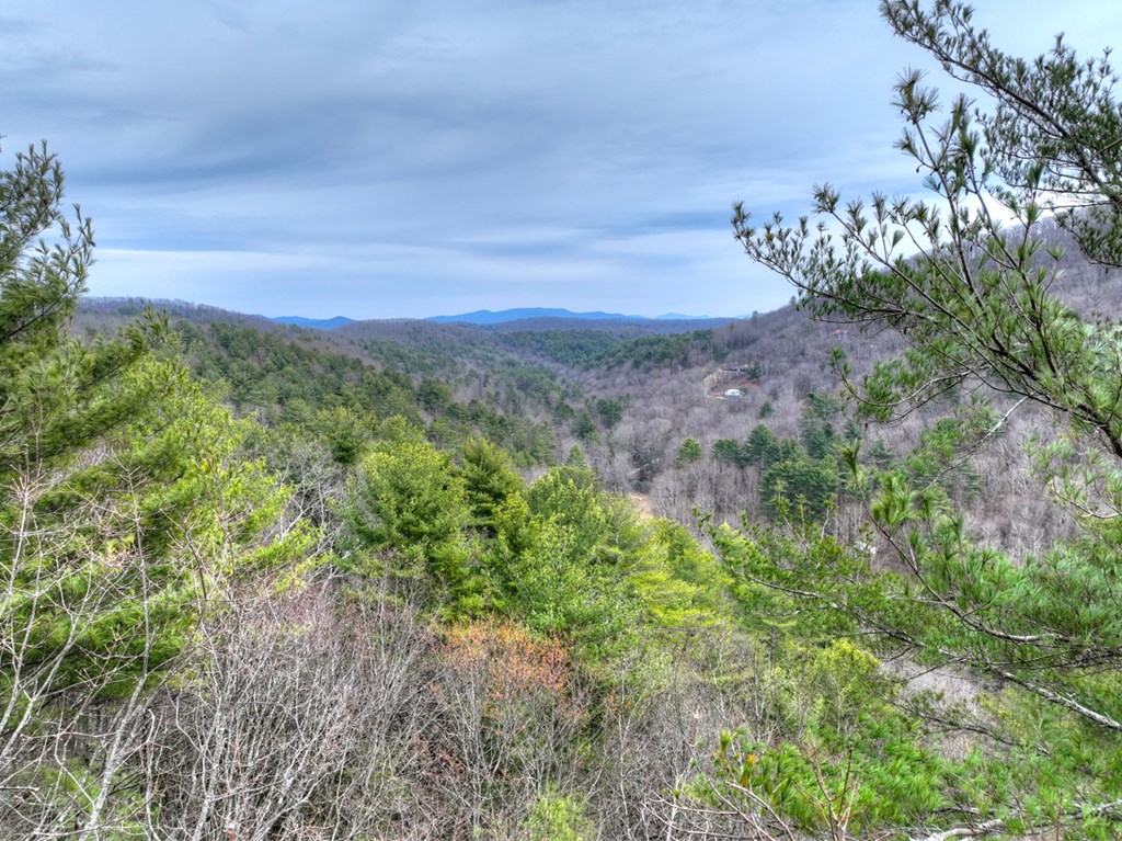 14092 Big Creek Road