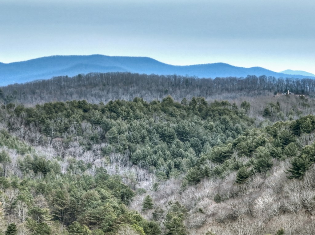 14092 Big Creek Road