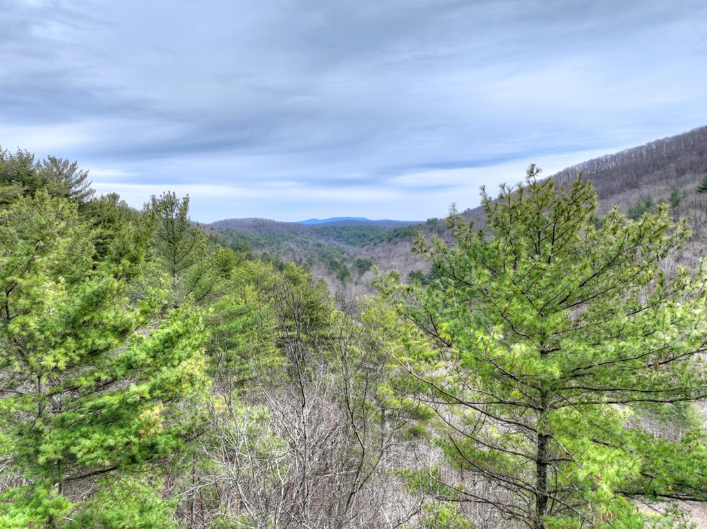 14092 Big Creek Road