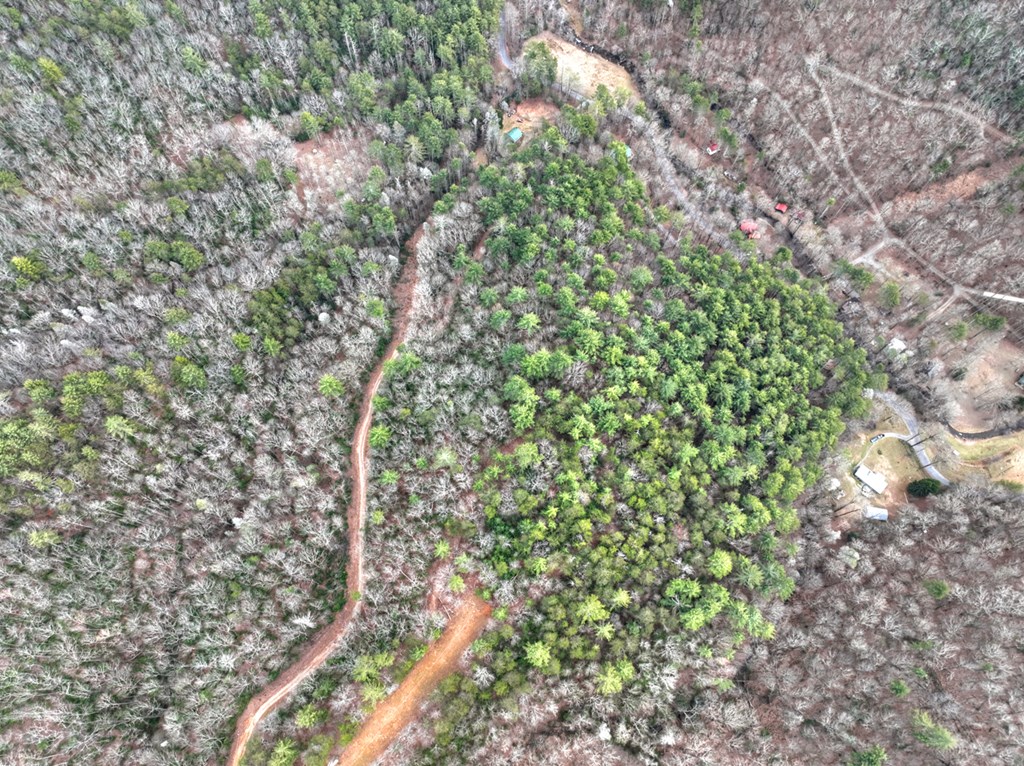 14092 Big Creek Road