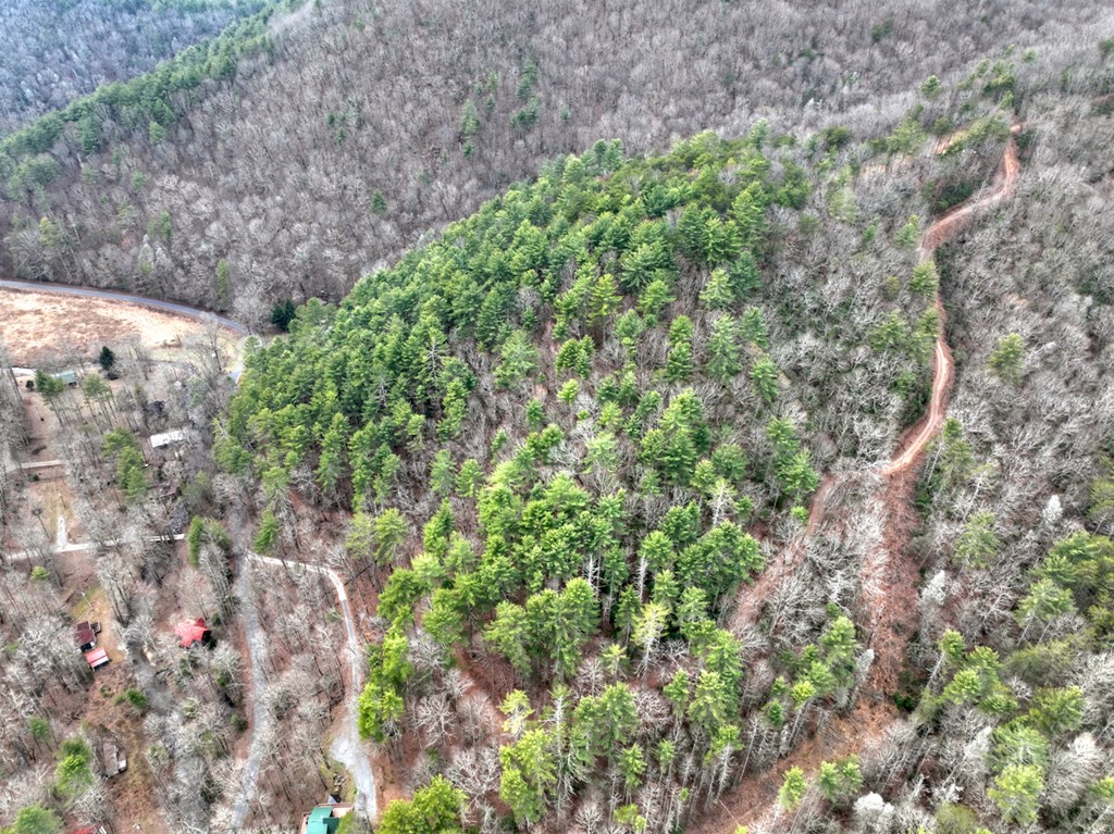 14092 Big Creek Road