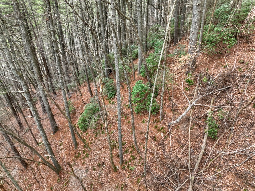 14092 Big Creek Road