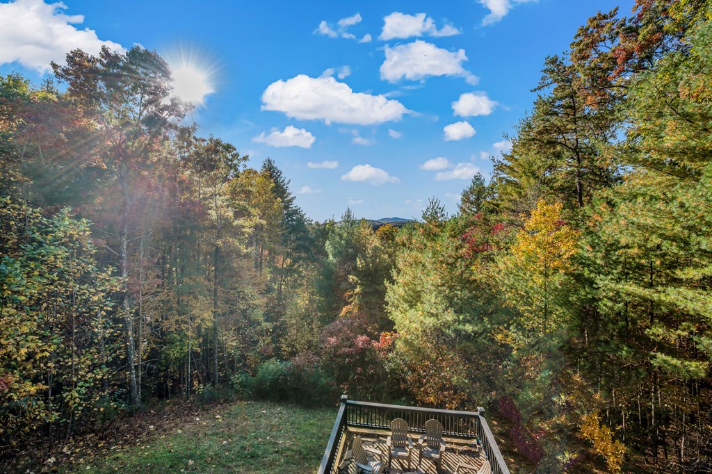 222 Brooks Ridge Road