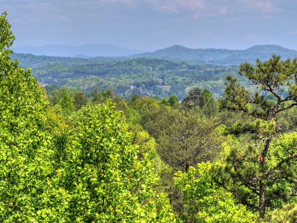 222 Mountain Hideaway Lane