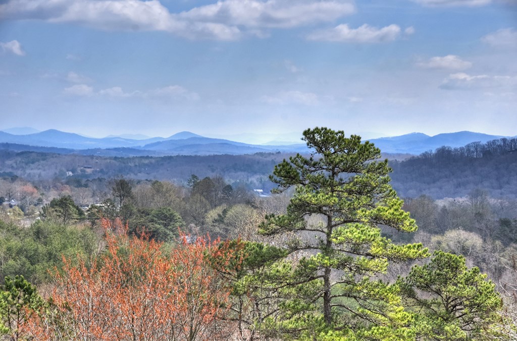 222 Mountain Hideaway Lane