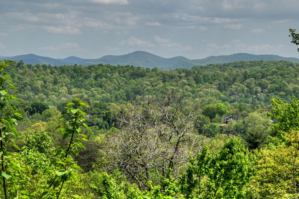 222 Mountain Hideaway Lane