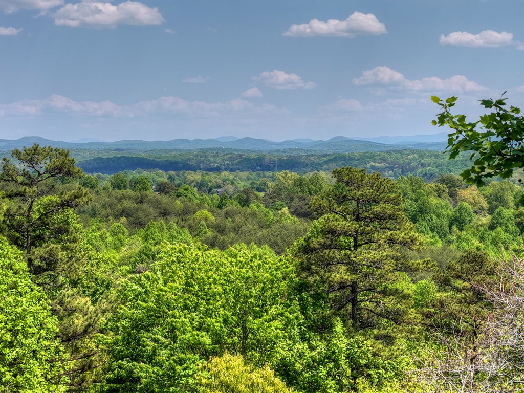 222 Mountain Hideaway Lane