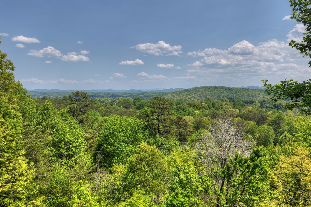 222 Mountain Hideaway Lane