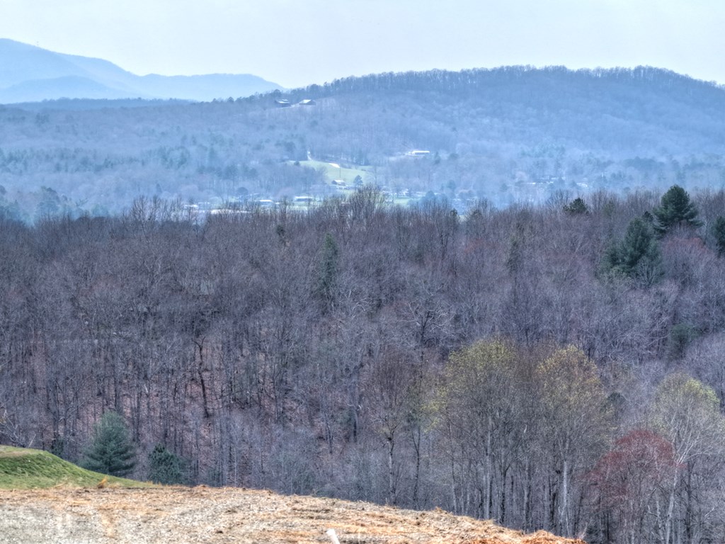 Lot 45 Big Valley Drive