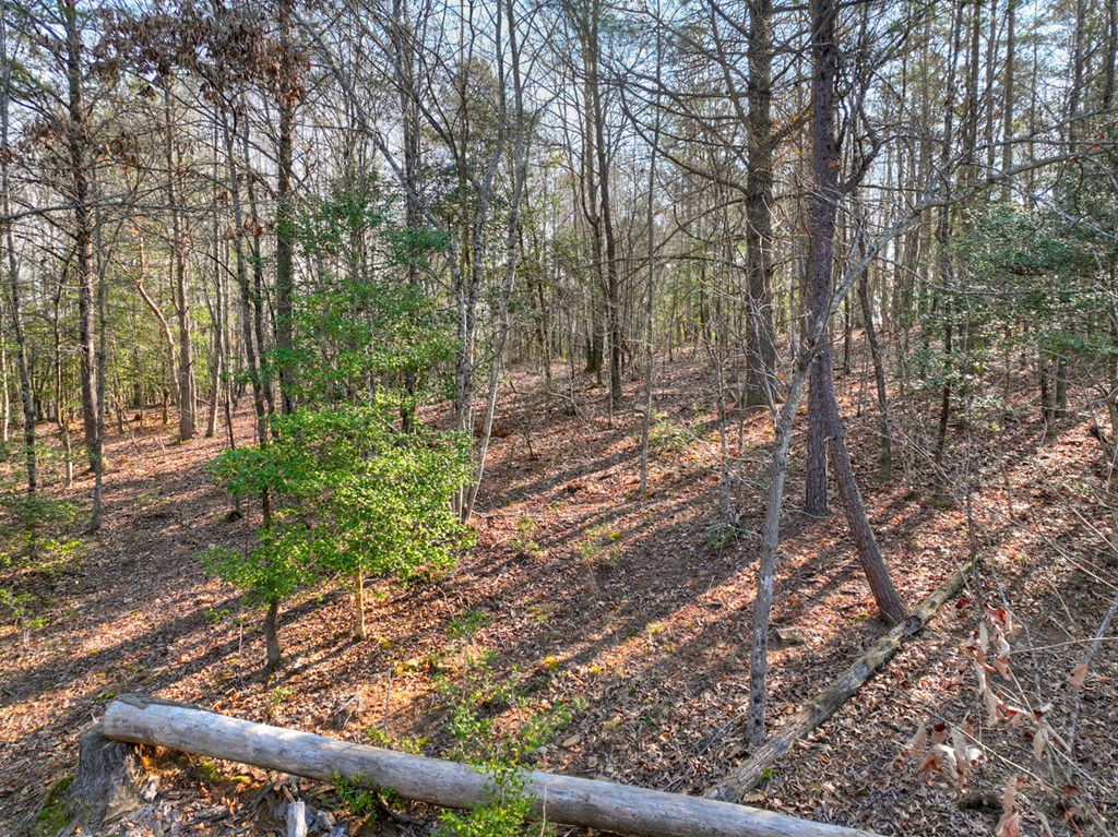 LOT 233 Ridge Pointe Way