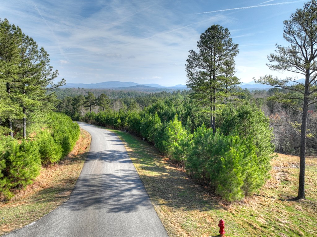 LOT 233 Ridge Pointe Way