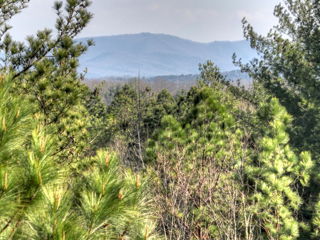 LOT 233 Ridge Pointe Way