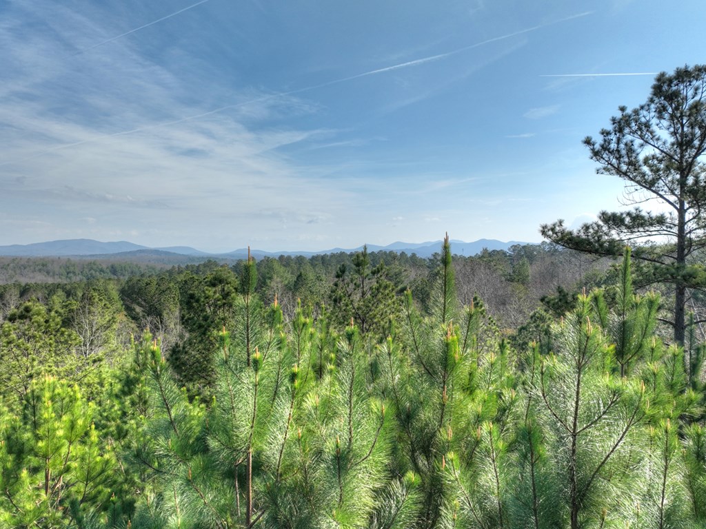 LOT 233 Ridge Pointe Way