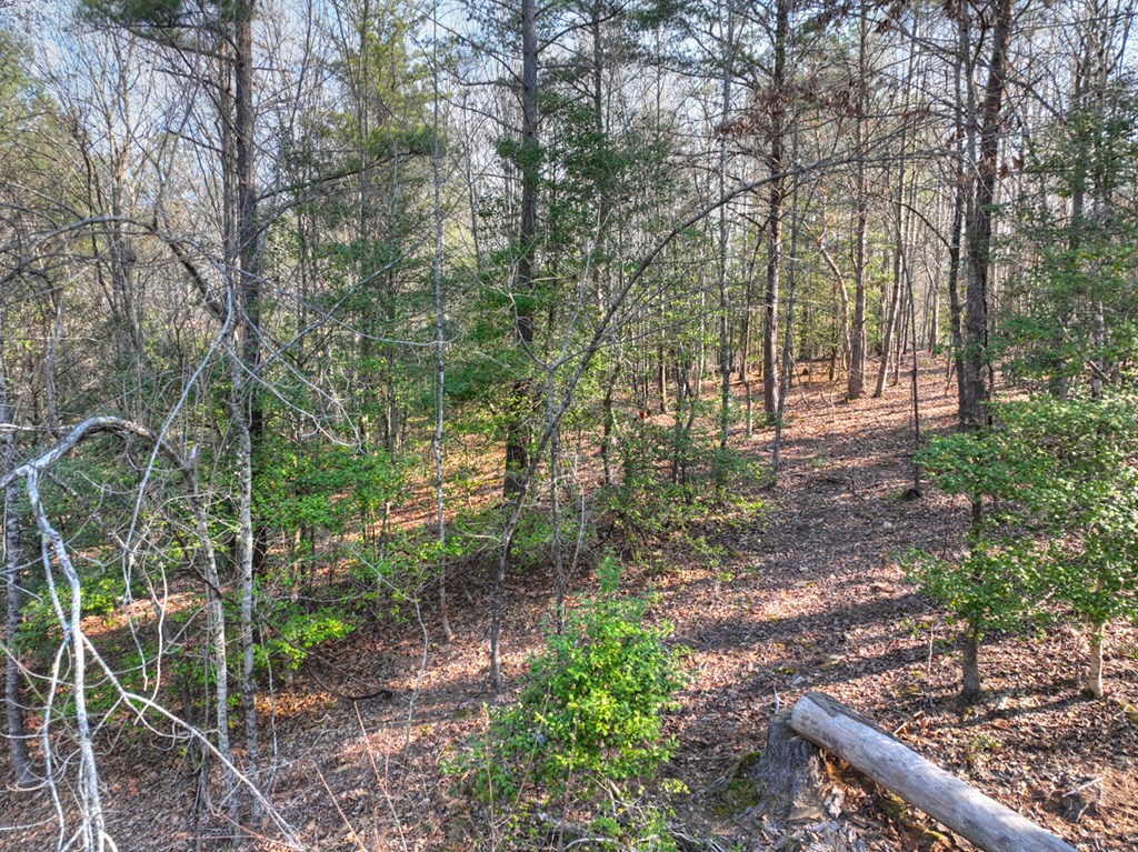 LOT 233 Ridge Pointe Way