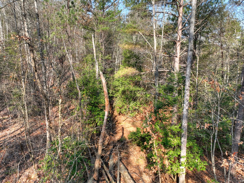 LOT 233 Ridge Pointe Way