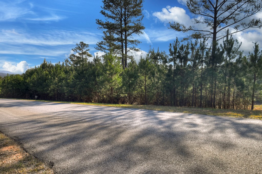 LOT 233 Ridge Pointe Way