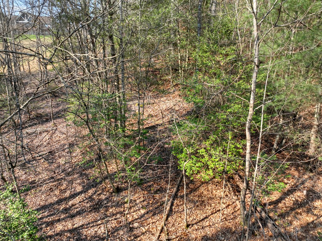 LOT 233 Ridge Pointe Way