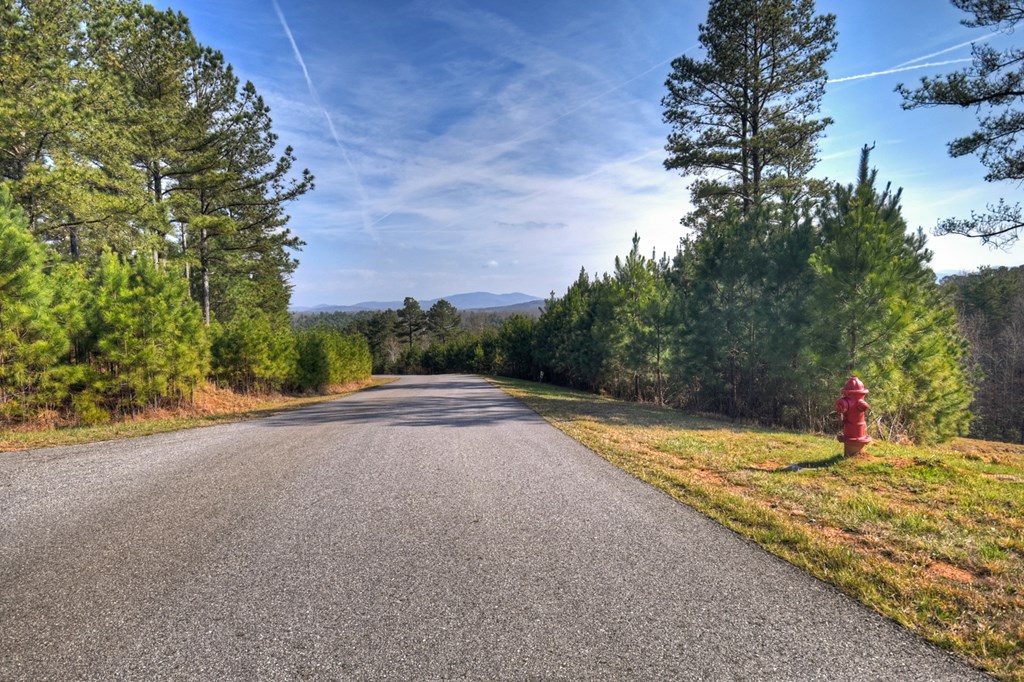 LOT 233 Ridge Pointe Way