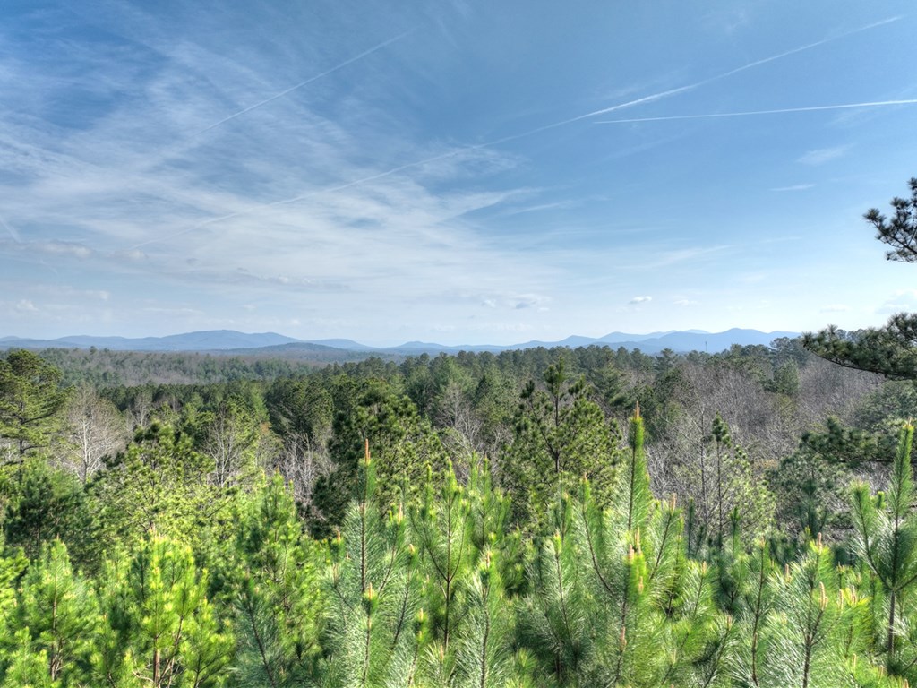 LOT 233 Ridge Pointe Way