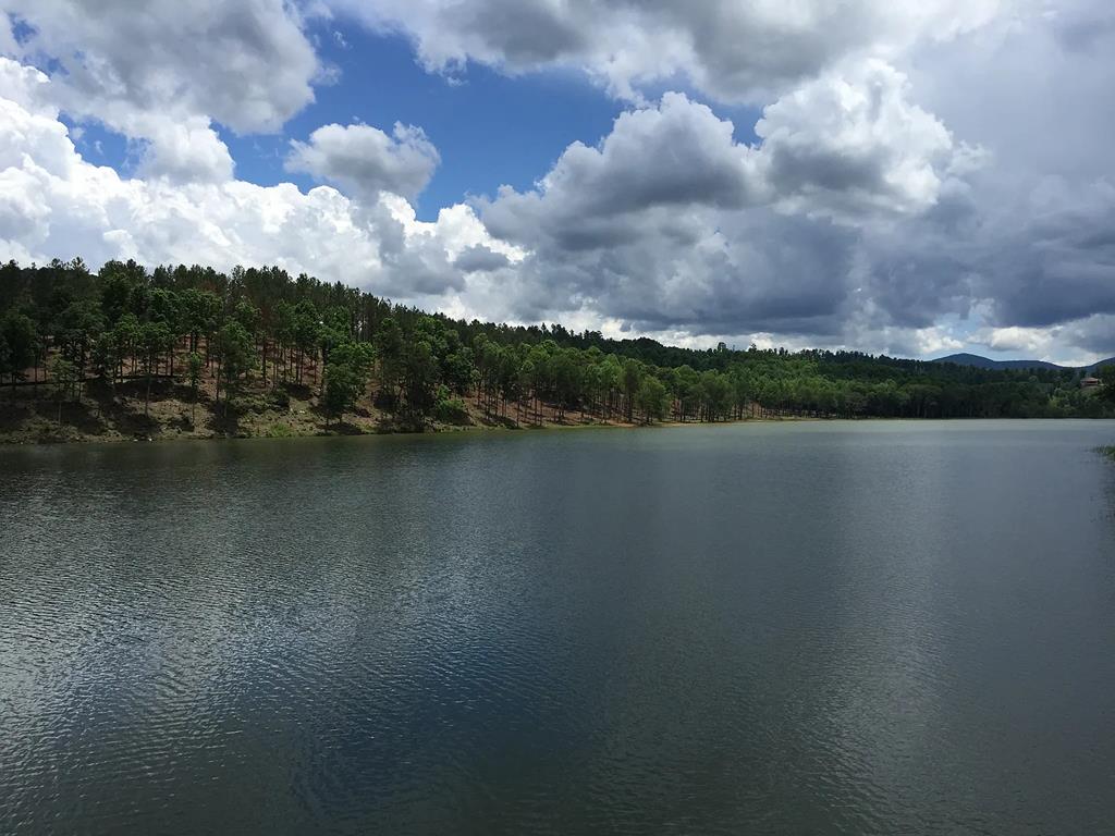 LOT 233 Ridge Pointe Way