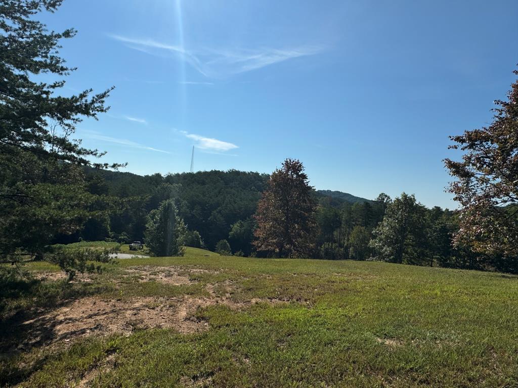 130 Golden Eagle Circle