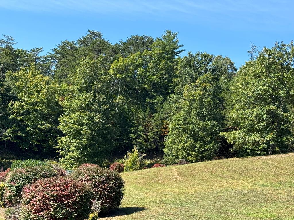 130 Golden Eagle Circle