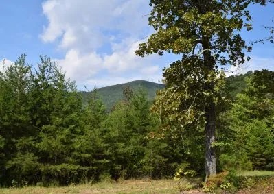 130 Golden Eagle Circle