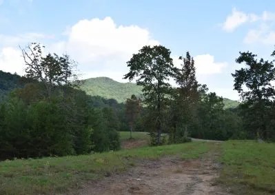 313 Golden Eagle Circle