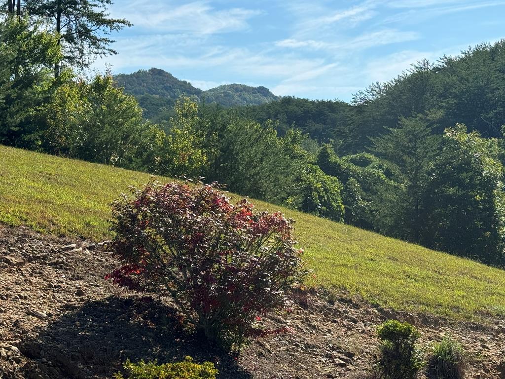 313 Golden Eagle Circle