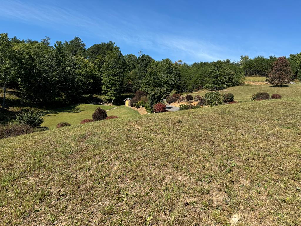 313 Golden Eagle Circle