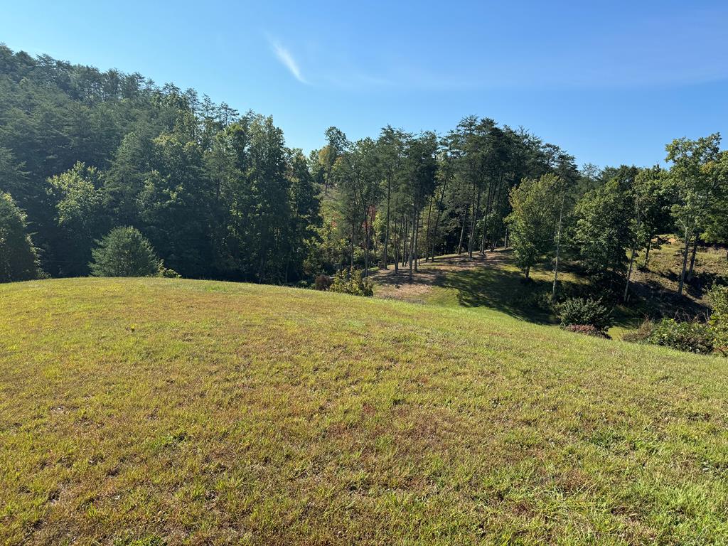 313 Golden Eagle Circle