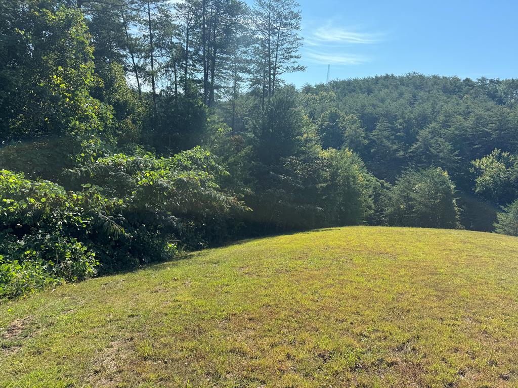 313 Golden Eagle Circle