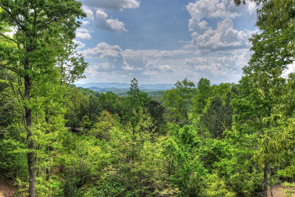 560 Endless View Road