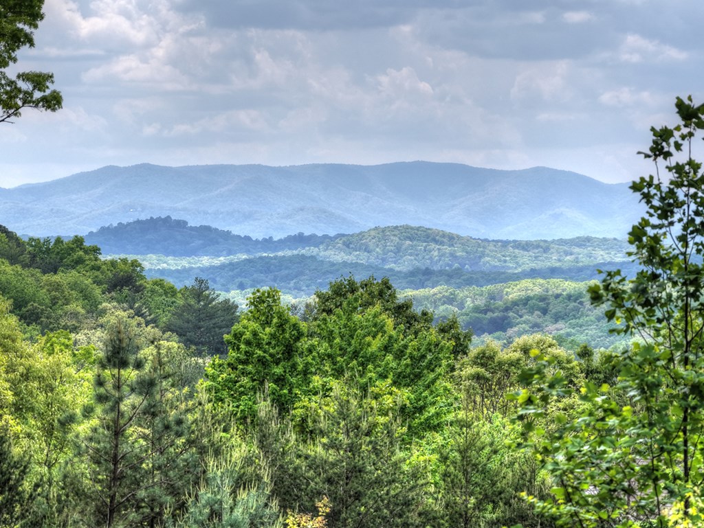 560 Endless View Road