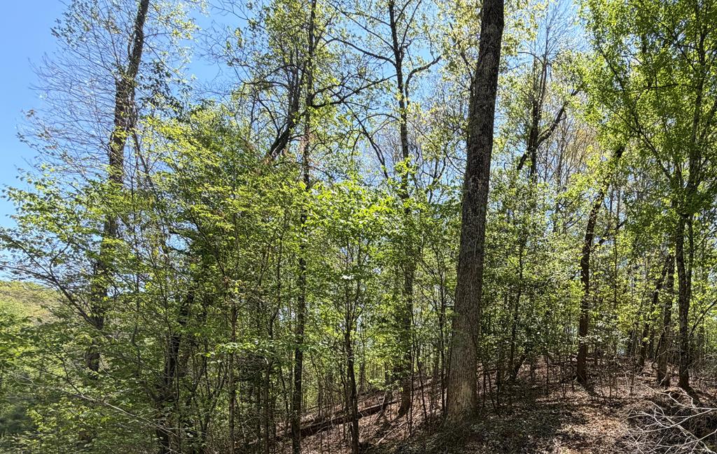 Lot 5 Riverbend Manor