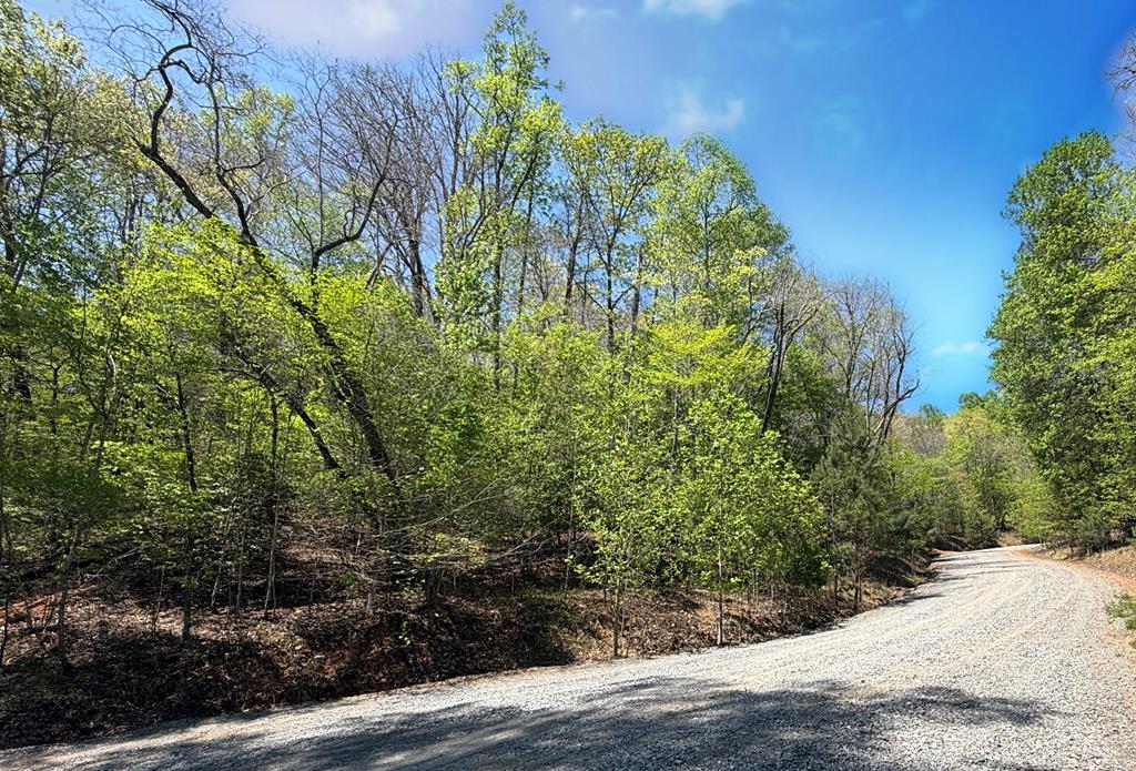 Lot 5 Riverbend Manor