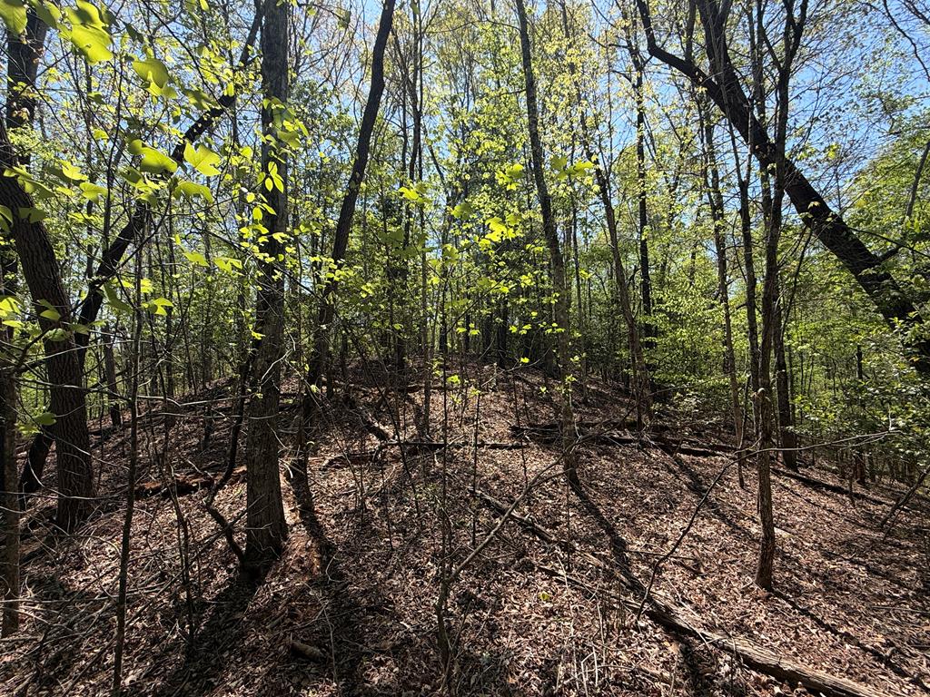 Lot 5 Riverbend Manor